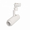 Трековый светильник Arlight LGD-Zeus-2TR 025908(1) 10Вт LED белый для однофазного трека