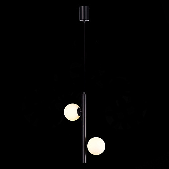Люстра подвесная ST Luce ASOLO SL1185.403.02 10Вт 2 лампочек G9