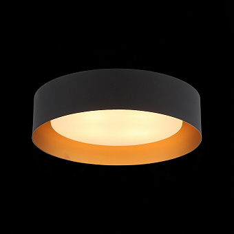 Светильник потолочный ST Luce CHIO SL392.422.04 160Вт E14