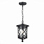 Светильник подвесной ST Luce LORNE SL085.403.01 60Вт E27