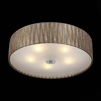 Светильник потолочный ST Luce RONDELLA SL357.702.05 200Вт E14