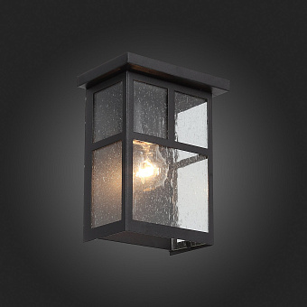 Светильник фасадный ST Luce GLAZGO SL079.401.01 60Вт IP20 E27 тёмный кофе
