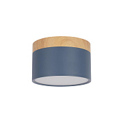 Светильник потолочный Loft It Grape 10162 Blue 12Вт LED