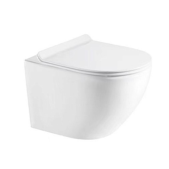 Унитаз подвесной Azario Gloria AZ-2003 SP безободковый с микролифтом