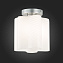 Светильник потолочный ST Luce ONDE SL117.502.01 60Вт E27