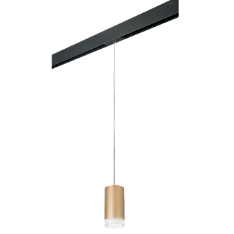 Трековый светильник Lightstar Rullo PRORP44030 50Вт GU10 золото для однофазного трека