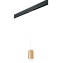 Трековый светильник Lightstar Rullo PRORP44030 50Вт GU10 золото для однофазного трека