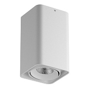 Светильник точечный накладной Lightstar MONOCCO 052136 10Вт LED