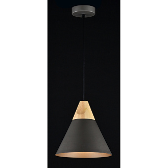Светильник подвесной Maytoni Bicones P359-PL-220-C 60Вт E27