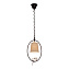 Светильник подвесной Loft It Birds LOFT1029A-1 40Вт E14