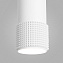 Светильник подвесной Elektrostandard Spike a048148 DLN113 40Вт GU10