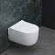 Унитаз подвесной BERGES EGO RR 082111RR безободковый с микролифтом