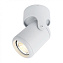Светильник потолочный Arte Lamp LIBRA A3316PL-1WH 50Вт GU10