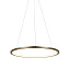 Светильник подвесной Loft It Ring 10014M 24Вт LED