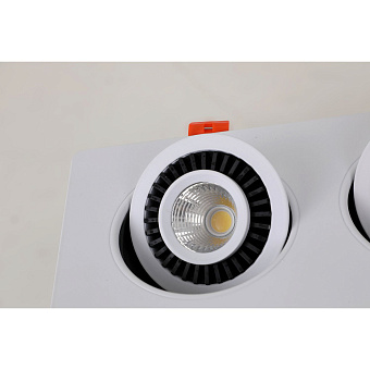 Светильник точечный встраиваемый Favourite Cardine 2417-2U 10Вт LED