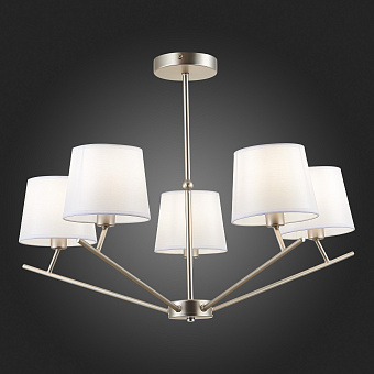 Светильник потолочный Evoluce DENICE SLE300102-05 200Вт E14