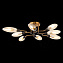 Люстра потолочная ST Luce DESIMA SL1174.302.08 24Вт 8 лампочек G9