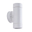 Светильник фасадный Arte Lamp ATLAS A3503AL-2WH 7Вт IP44 GU10 белый