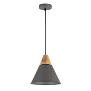 Светильник подвесной Maytoni Bicones P359-PL-220-C 60Вт E27