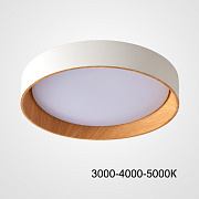 Светильник потолочный ImperiumLOFT Wenny 223983-23 32Вт LED