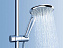 Ручной душ GROHE Euphoria 27220000 хром