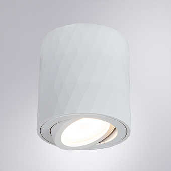 Светильник точечный накладной Arte Lamp FANG A5559PL-1WH 50Вт GU10