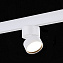 Магнитный трековый светильник ST Luce SKYLINE 48 ST809.536.09 9Вт LED белый