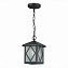 Светильник подвесной ST Luce LORNE SL084.403.01 60Вт E27