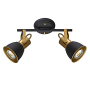 Спот Arte Lamp JOVI A1677PL-2GO 40Вт 2 лампы E14
