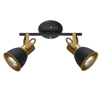 Спот Arte Lamp JOVI A1677PL-2GO 40Вт 2 лампы E14