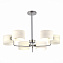 Светильник потолочный Evoluce AERIN SLE1121-102-06 240Вт E14