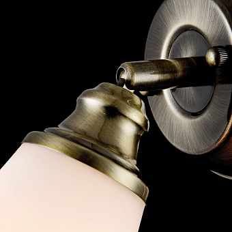 Спот Freya Jasinta FR2272-WL-01-BS 40Вт 1 лампа E14