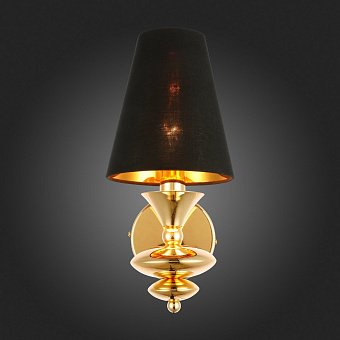 Светильник настенный Evoluce RIONFO SL1137.201.01 40Вт E14