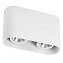 Светильник потолочный Lightstar Rullo 214866 100Вт GU10