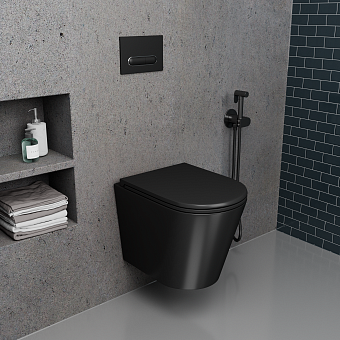 Унитаз подвесной D&K Venice DT1026025 безободковый с микролифтом