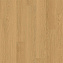 Виниловый ламинат Quick-Step Дуб чистый медовый PUCL40098 1510х210х4,5мм 32 класс 2,22кв.м